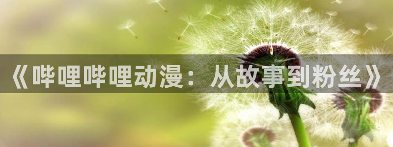 汗汗漫画有什么推荐：《哔哩哔哩动漫：从故事到粉丝》