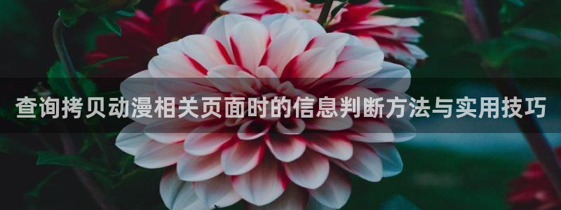 汗汗漫画今日推荐：查询拷贝动漫相关页面时的信息判断方法与实用技巧