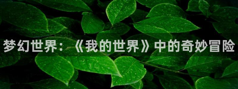 汗汗漫画免费完整版